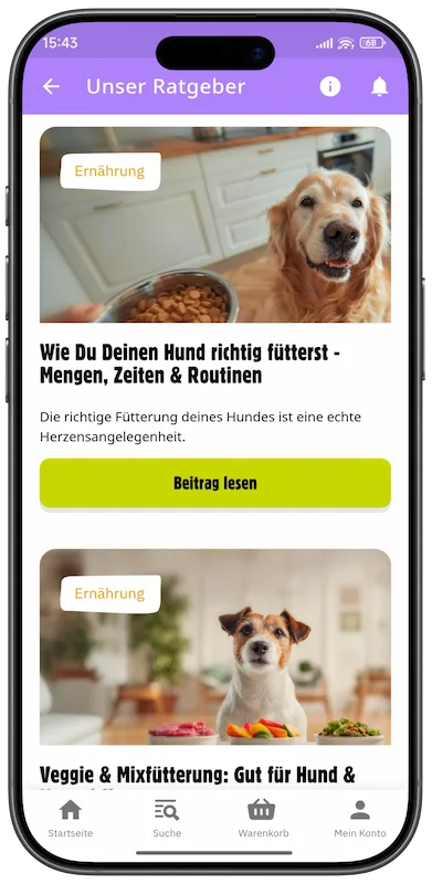 Fellows App